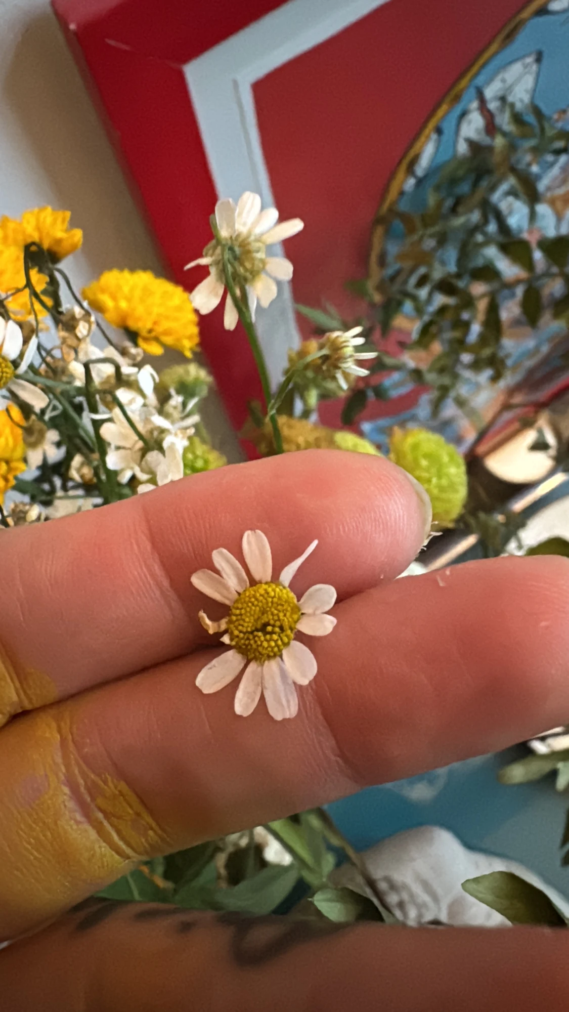 Margarita Prototipo